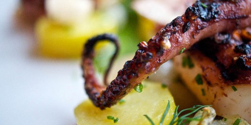 gallery-GrilledOctopus