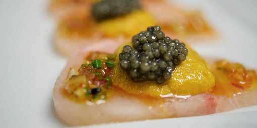 gallery-YellowtailCrudo